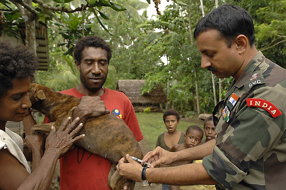 Veterinarian administering a vaccination to a family dog